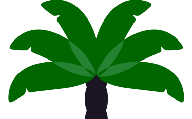 Palm Tree Illustration